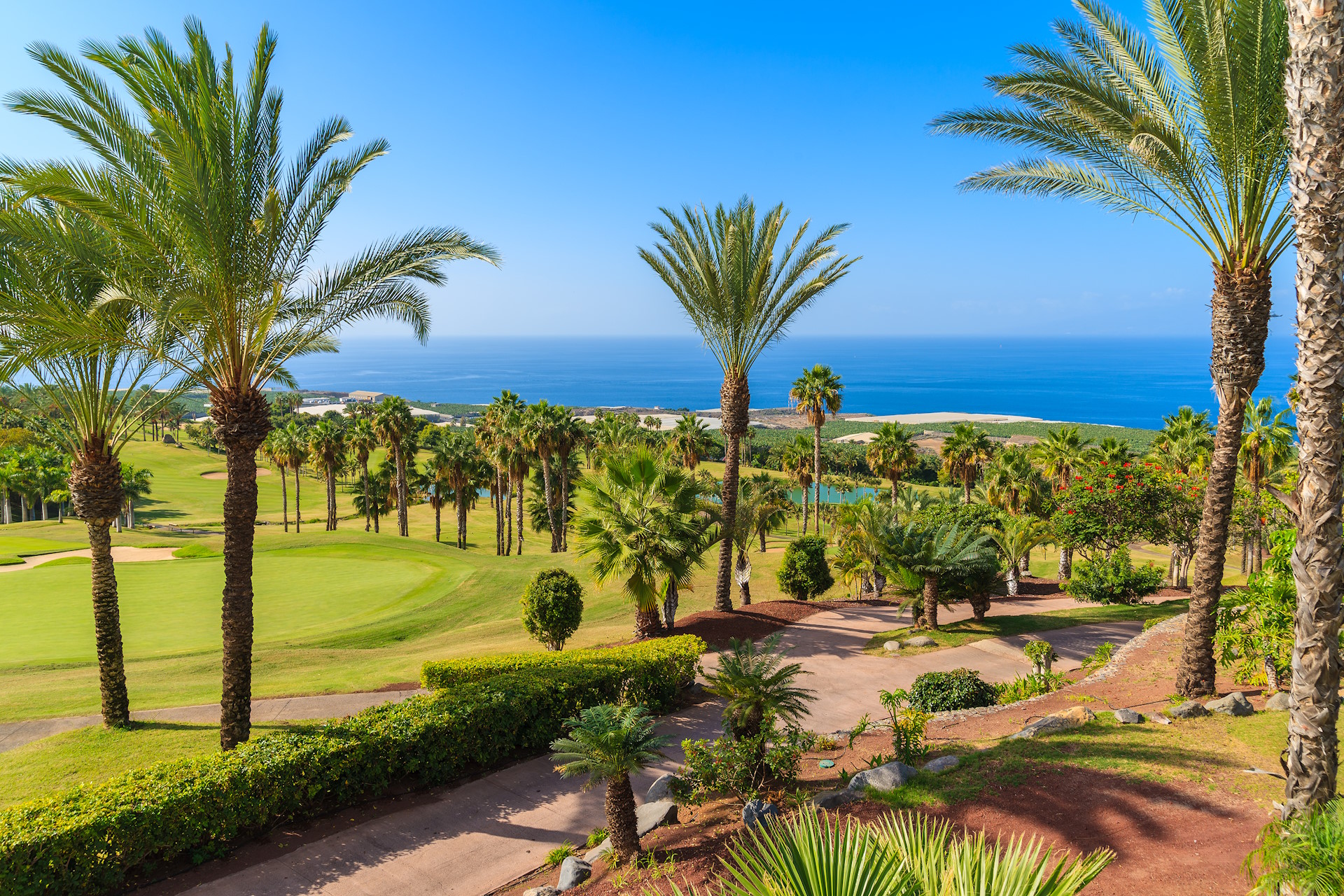 Find houses and apartments near Abama Golf Resort